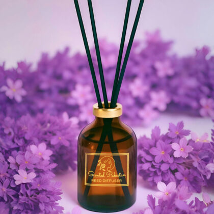 Lavender Fragrance 🪻
